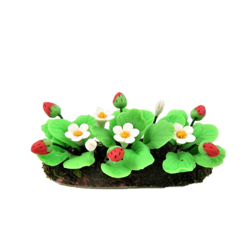 Dolls House Flowering Strawberry Plants in Ground Soil 1:12 Garden Accessory