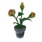 Dolls House Yellow Rose Flowers in Terracotta Pot Miniature Garden Accessory