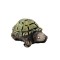 Dolls House Turtle Large Tortoise Miniature Garden Accessory Animal 