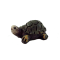 Dolls House Turtle Pet Tortoise 1:12 Scale Miniature Garden Accessory Animal 