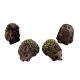 Dolls House Set of 4 Hedgehogs Miniature Animal Garden Accessory 