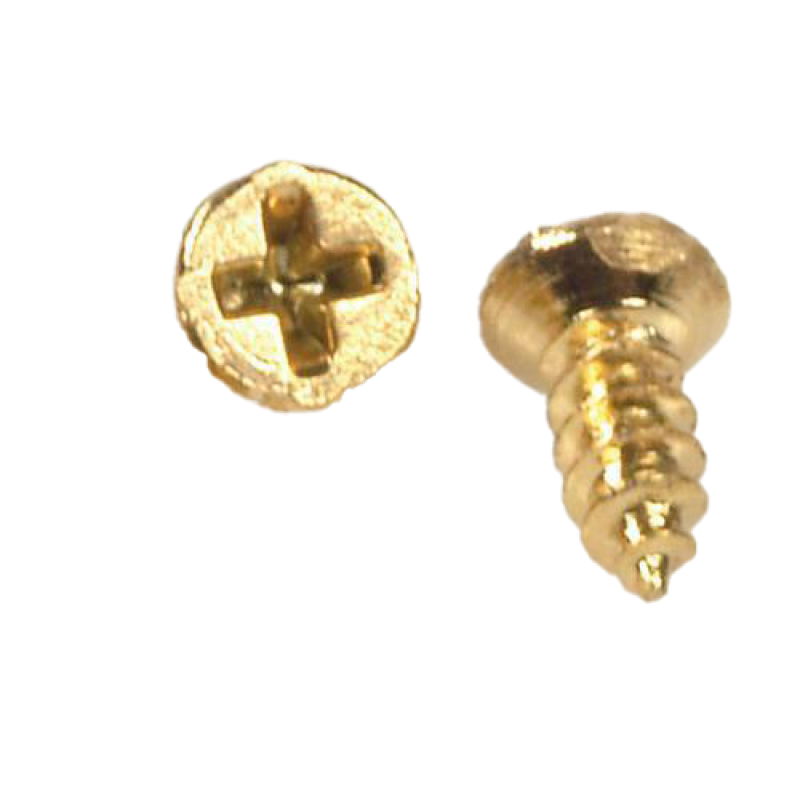 Dolls House 20 Small Brass Screws Miniature Hardware 