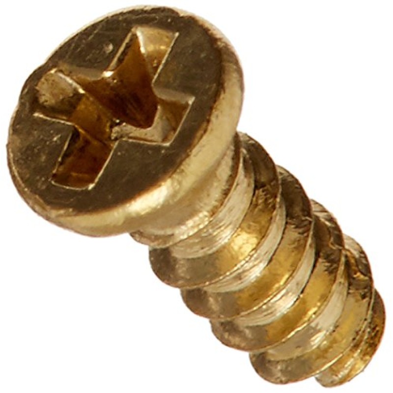 Dolls House 20 Small Brass Screws Miniature Hardware 