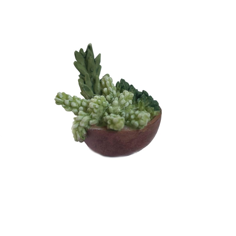 Dolls House Low Round Pot Full of Succulents Miniature Home or Garden Accessory