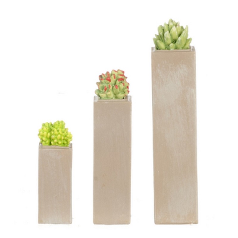 Dolls House 3 Succulents in Tall Planters Miniature Home or Garden Accessory