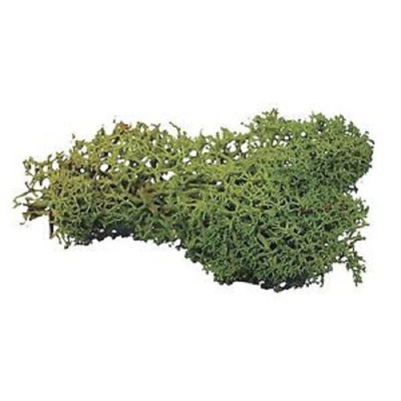 Dolls House Dark Green Lichen 12s Garden Scenic Accessory