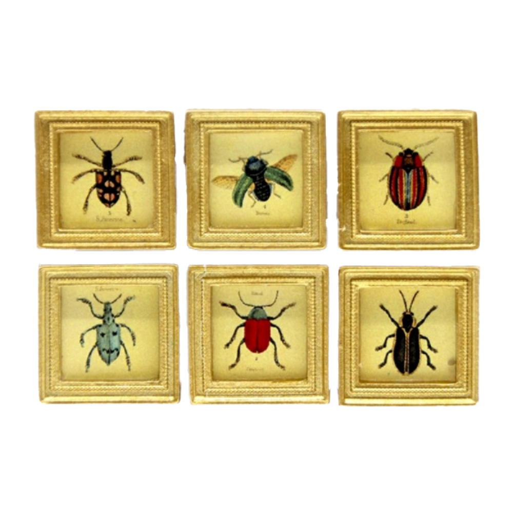 Dolls House 6 Beetle Pictures Paintings in Square Gold Frame Miniature ...