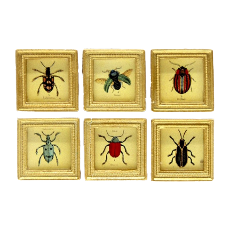Dolls House 6 Beetle Pictures Paintings in Square Gold Frame Miniature Accessory
