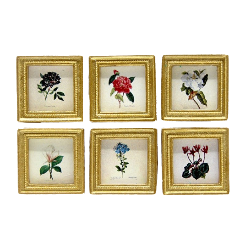 Dolls House 6 Botanical Flower Pictures Paintings Gold Frame Miniature Accessory