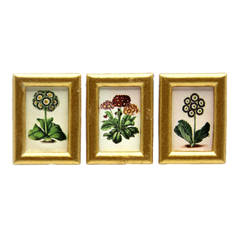 Dolls House 3 Auriculas Flower Small Picture Paintings Gold Frame 1:12 Accessory