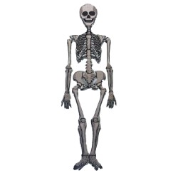 Dolls House Skeleton Printed Card Miniature Halloween Shop Decoration 1:12 Scale