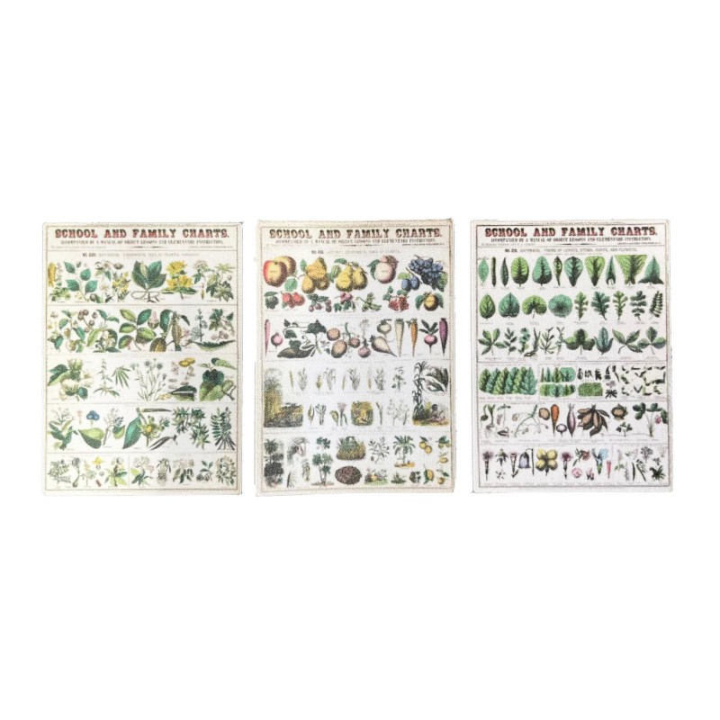 Dolls House Vintage Botanical School Chart Posters Miniature Study Accessory 1:12