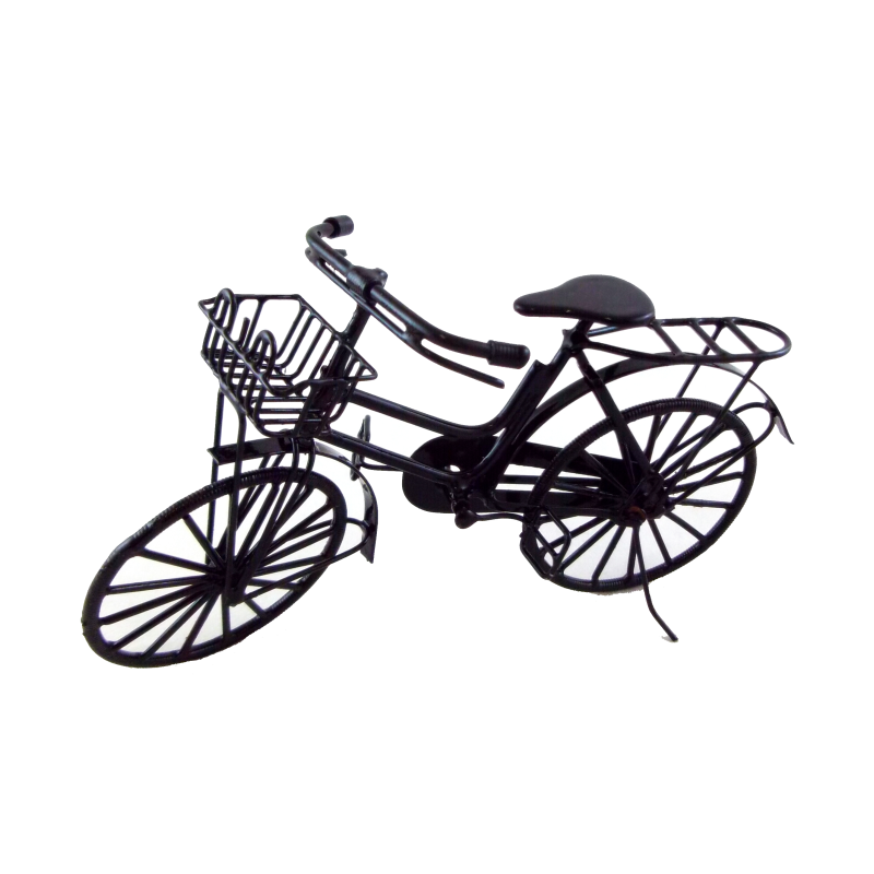 Bike stand hot sale for house